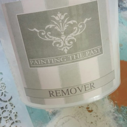 Painting the Past Remover