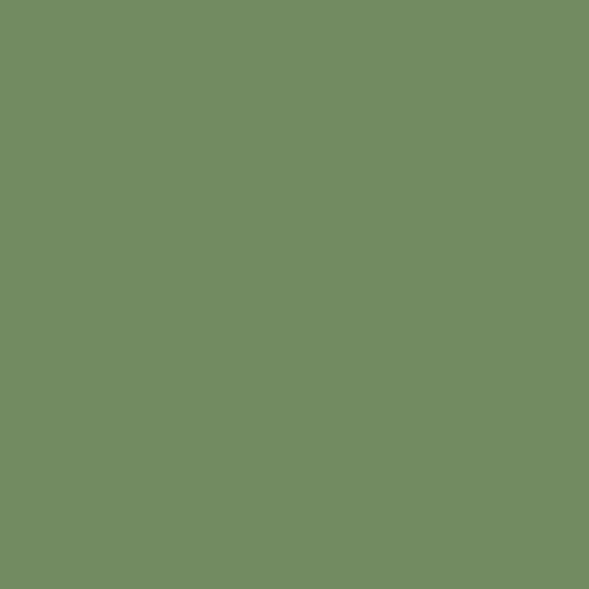 Kreidelack Forrest Green 029