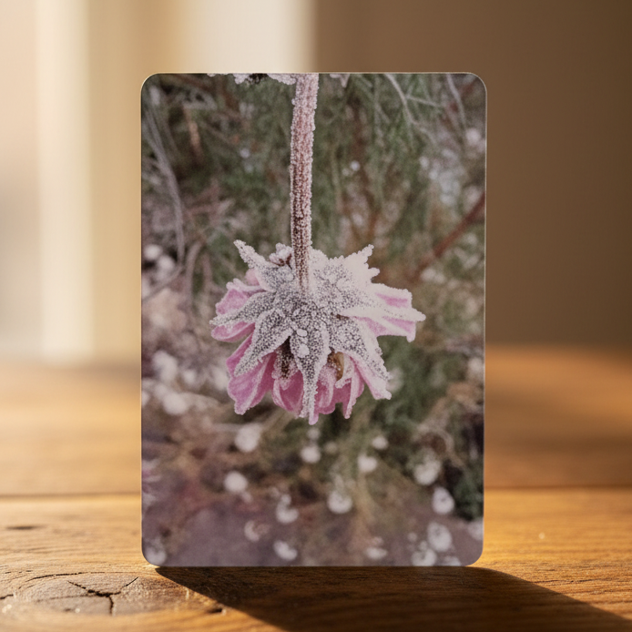Karte 2 – Frostblüte