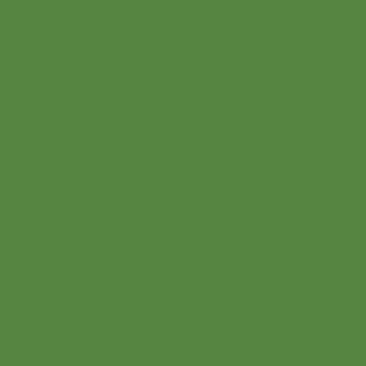Kreidelack Marode Green 043