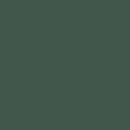Kreidelack Mold Green 047
