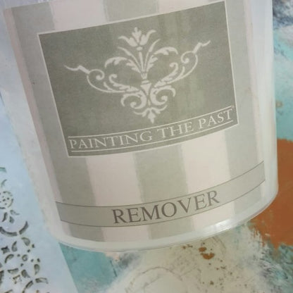 Painting the Past Remover